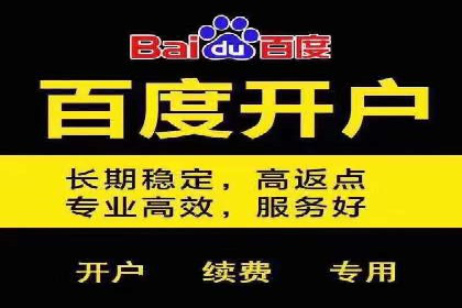 SEM优化技巧：实战案例深度剖析